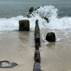 Meet your Posher, Darshana